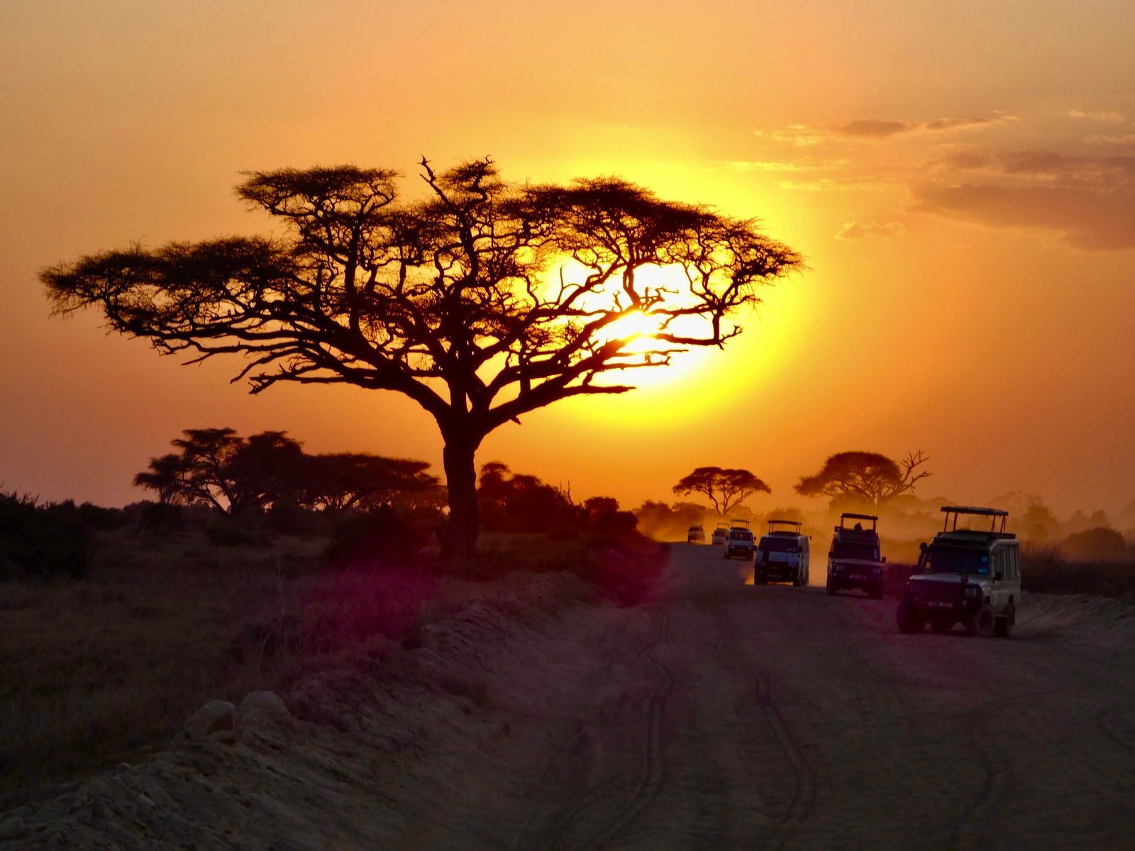 Le Kenya vu par Magique Kenya