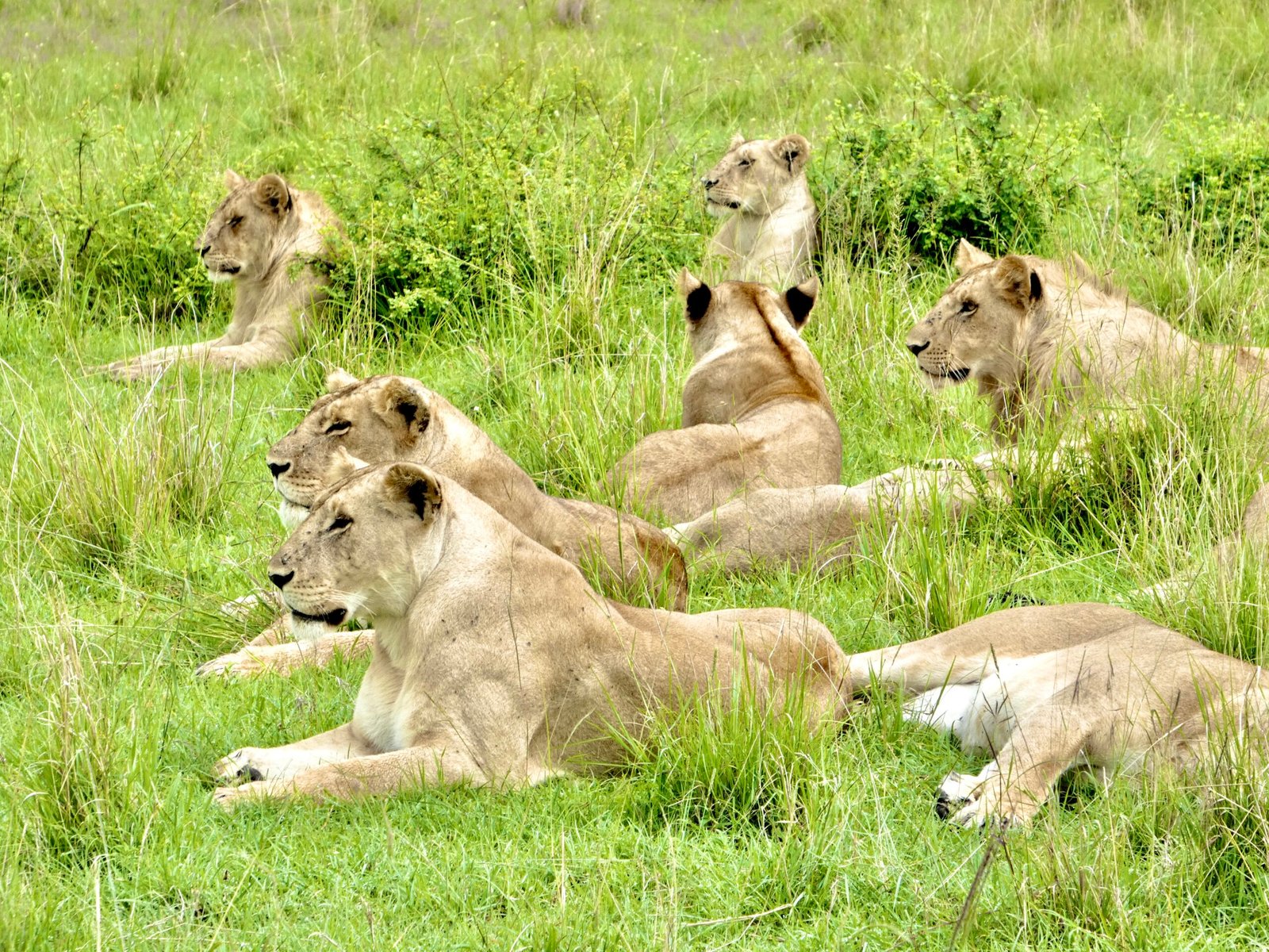 Les grands parcs en solo travel