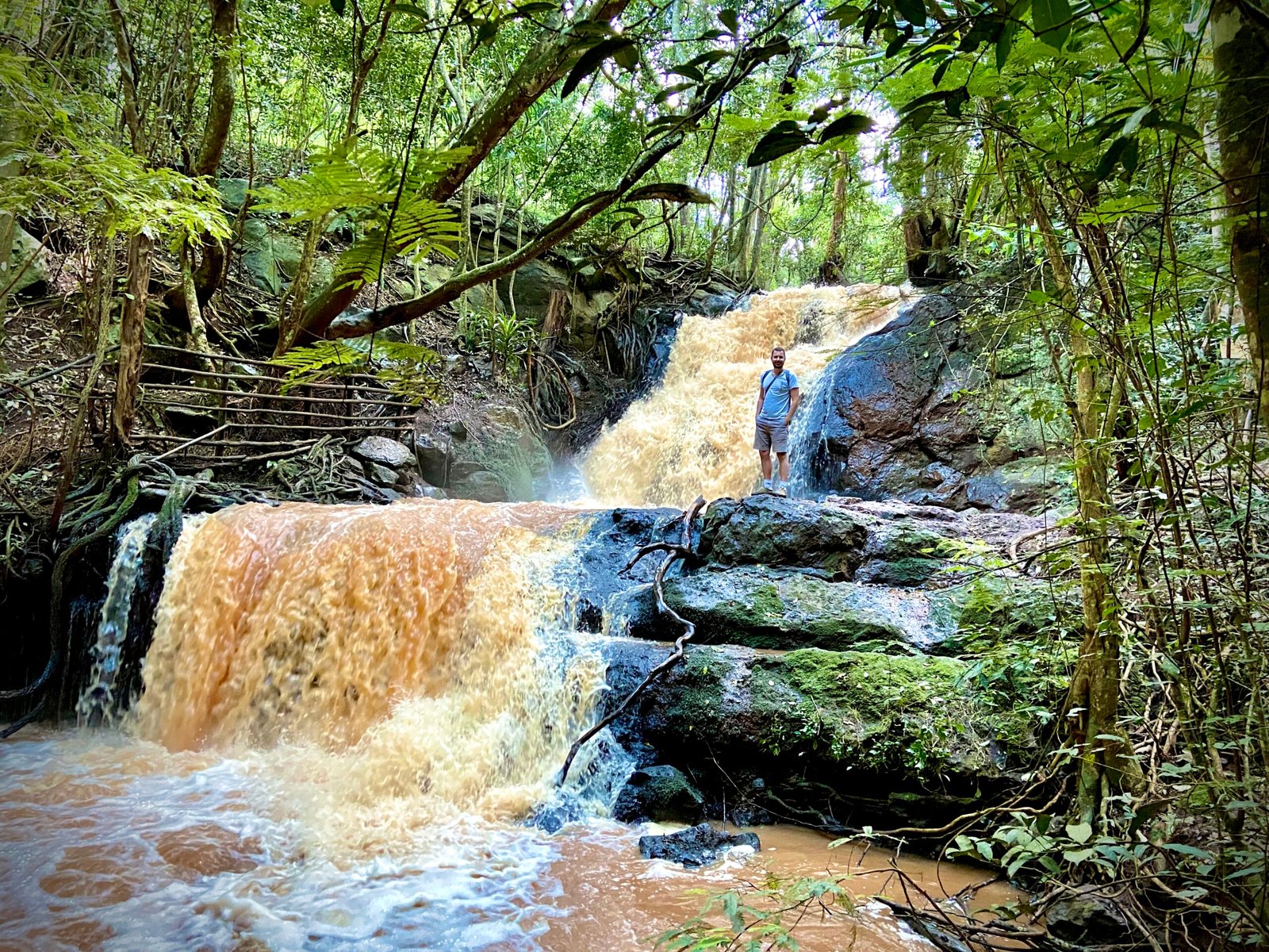 Nairobi Authentique – Nature, Culture & Vie Locale