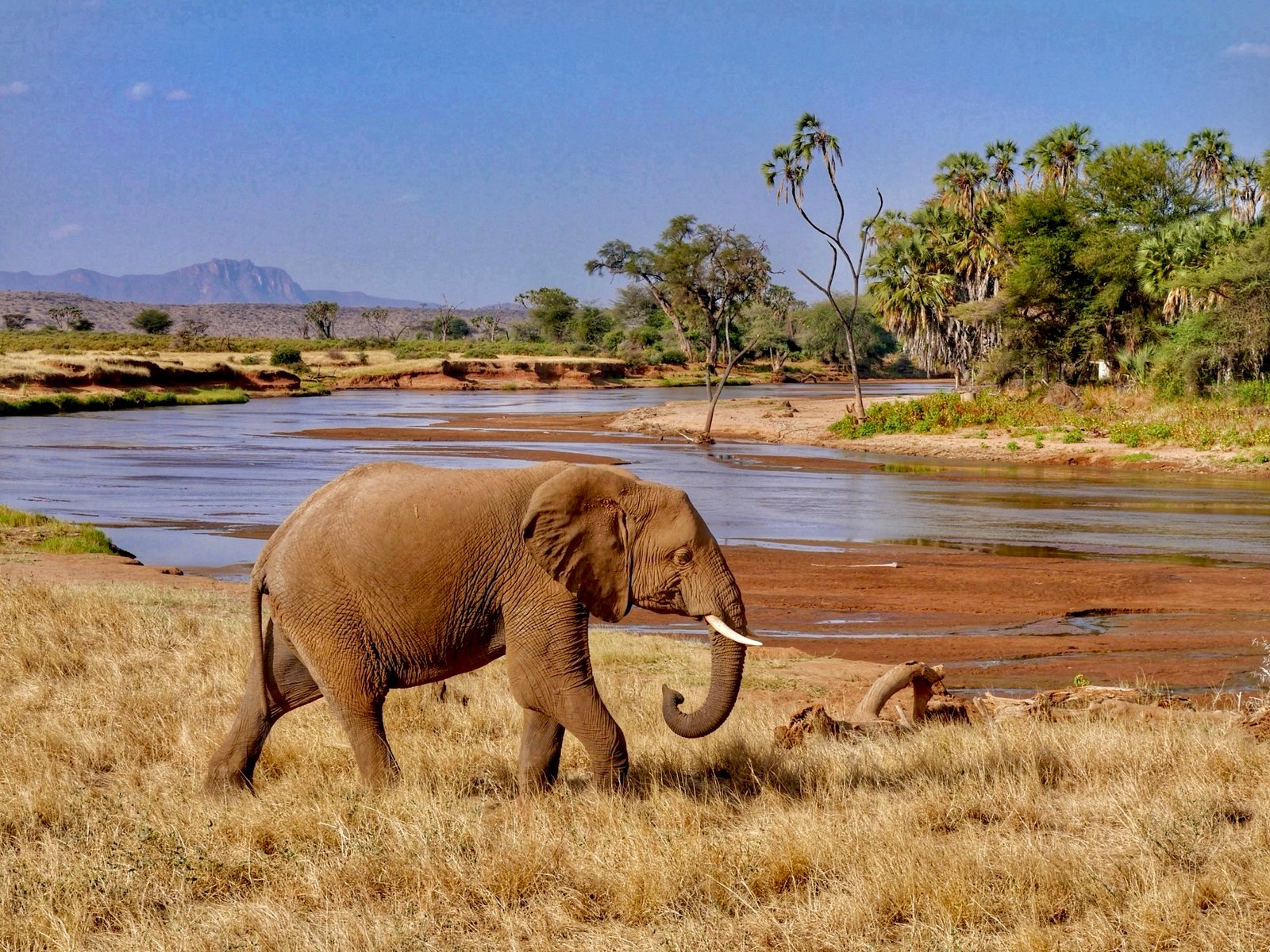 Le Kenya selon Kevin, Mes 10 joyaux