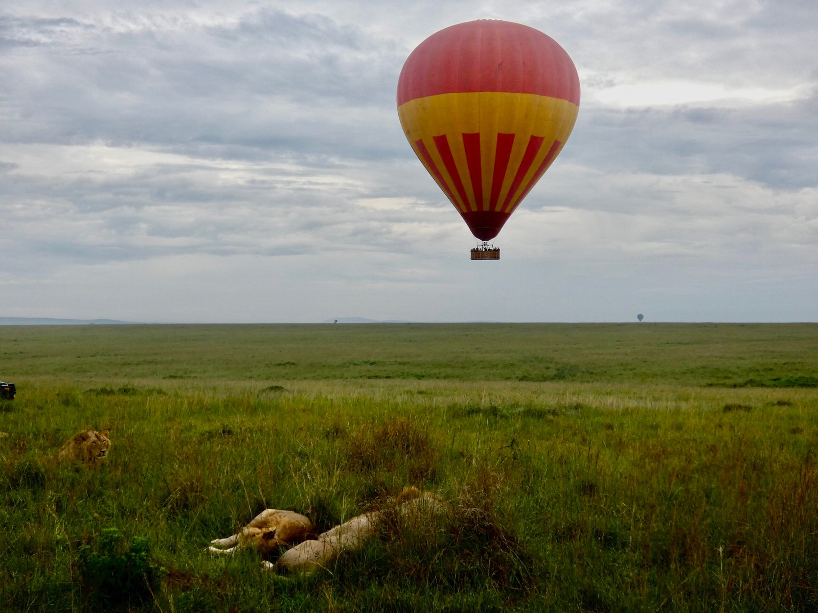 Tour en montgolfiere Maasai Mara